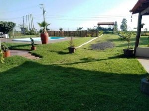 CH&Aacute;CARA CINEMATOL&Oacute;GICA REF. 1319