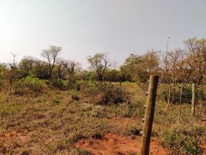 CH&Aacute;CARA ALVORADA DO SUL