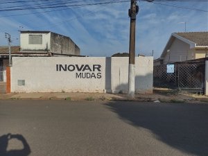 &Oacute;TIMO TERRENO NA REGI&Atilde;O CENTRAL - REF. 1156