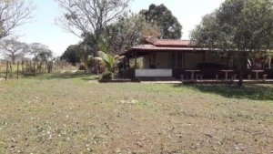 EXCELENTE CH&Aacute;CARA CINEMATOGR&Aacute;FICA REF. 1105